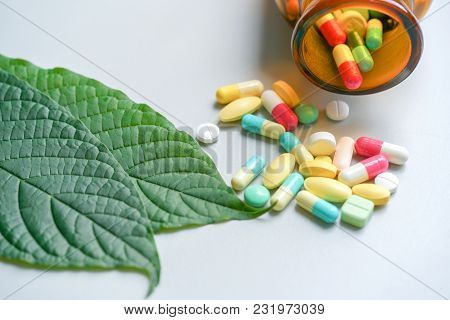 Mitragyna Speciosa Korth (kratom) Drug Plant With Pills In The Laboratory Research.