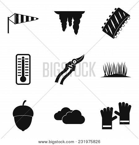 Vegetal Icons Set. Simple Set Of 9 Vegetal Vector Icons For Web Isolated On White Background