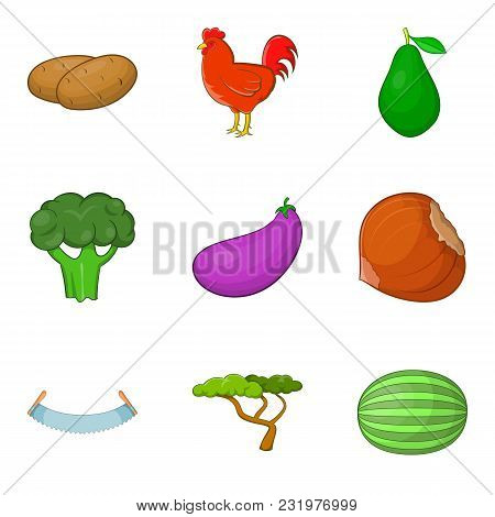 Phytogenesis Icons Set. Cartoon Set Of 9 Phytogenesis Vector Icons For Web Isolated On White Backgro