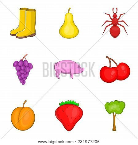 Origin Icons Set. Cartoon Set Of 9 Origin Vector Icons For Web Isolated On White Background