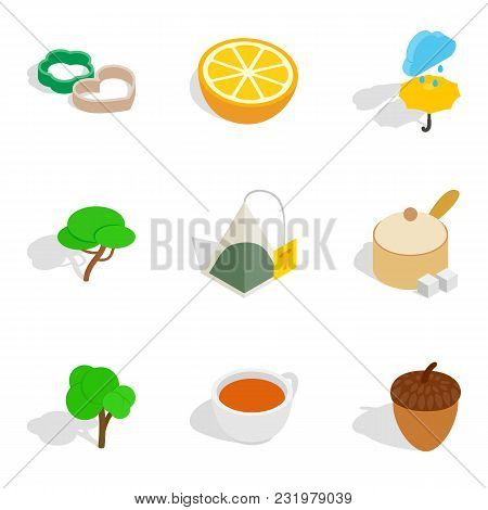 Vegan Dish Icons Set. Isometric Set Of 9 Vegan Dish Vector Icons For Web Isolated On White Backgroun