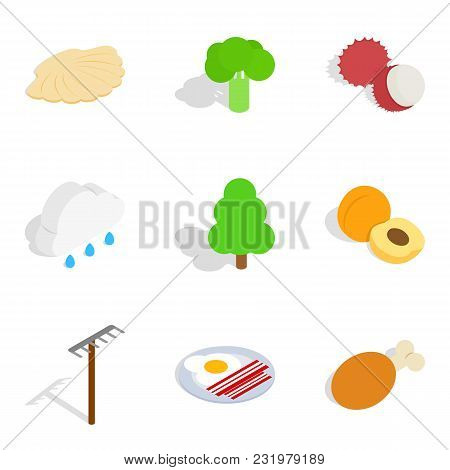 Fruit Meal Icons Set. Isometric Set Of 9 Fruit Meal Vector Icons For Web Isolated On White Backgroun