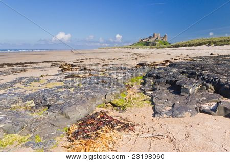Castillo de Bamburgh con algas
