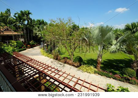 Green Garden With Many Trees And Blue Sky From The Second Floor Balcony Terrace And Battans