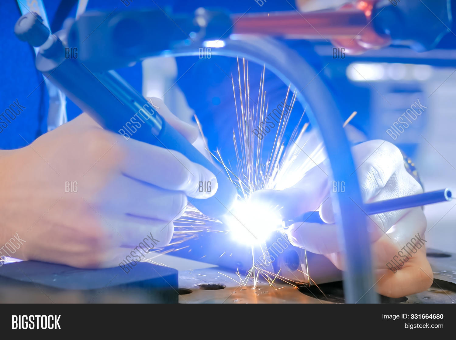 Professional Male Image Photo Free Trial Bigstock