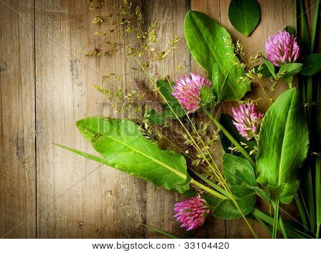 Hierbas sobre madera. Planta de tratamiento. Medicina herbaria. Fondo de hierbas.