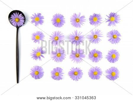 Composition Of Violet Flowers And Spoon On White Background. Autumn Purple Asters.