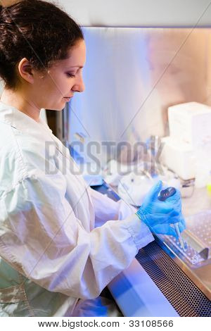 Výzkumník pracuje v laboratoři v laminární box
