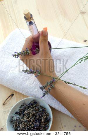 Mano de las mujeres con lavanda y otras hierbas medicinales