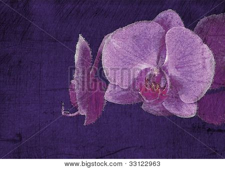 flores sobre fundo vintage