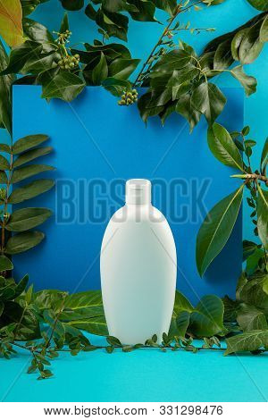 Background With Green Leaves And Plants And Bottle Of Cosmetic. Natural Scin Care Concept. Copy Spac