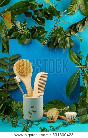 Background With Gren Fresh Leaves Ande Plants And Zero Waste Bathroom Utils In Pastel Colors. Natura