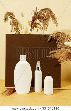 Background With Autumn Plants And Bottle Of Cosmetic In Pastel Colors. Natural Scin Care Concept. Co