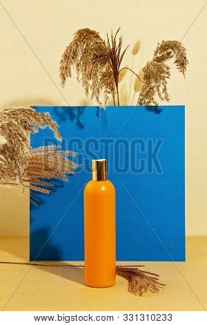 Background With Autumn Plants And Bottle Of Cosmetic In Pastel Colors. Natural Scin Care Concept. Co