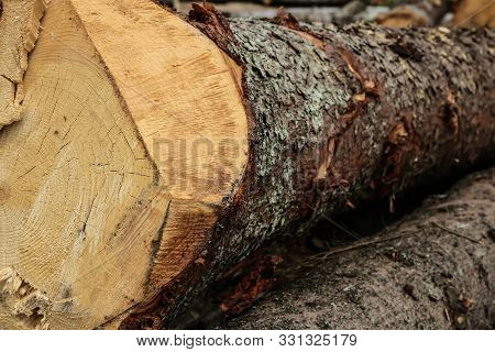 Texture Wood Saw Cut Rough With Brown Bark, Preparation Of Building Materials Pine For Building A Lo