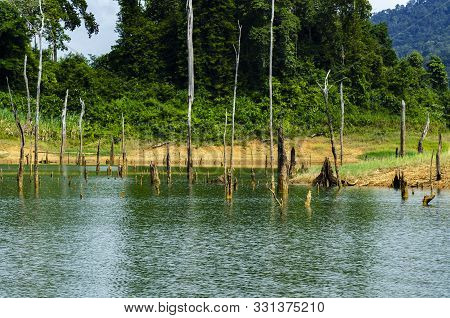 Beautiful Nature Of Tropical Rain-forest At Royal Belum State Park, Perak Malaysia.