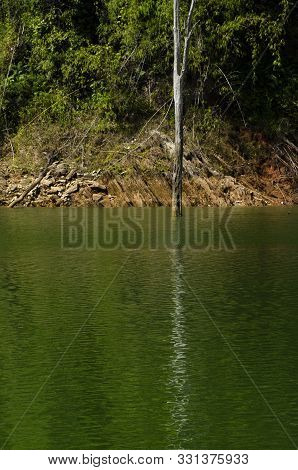 Beautiful Nature Of Tropical Rain-forest At Royal Belum State Park, Perak Malaysia.