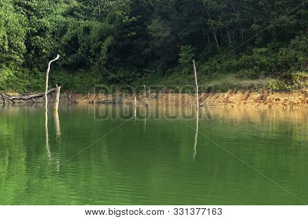 Beautiful Nature Of Tropical Rain-forest At Royal Belum State Park, Perak Malaysia.