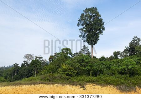 Beautiful Nature Of Tropical Rain-forest At Royal Belum State Park, Perak Malaysia.