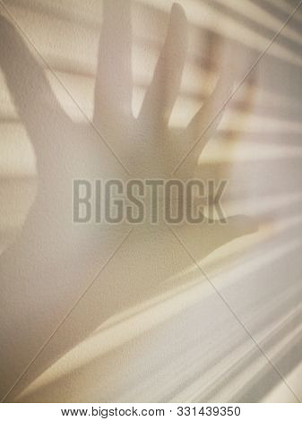 The Shadow Of The Blinds And Hand On A White Wall. Abstract Monochrome Pattern. The Rays Of Reflecte