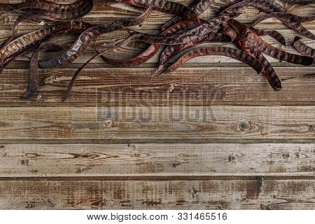 Dry The Pods Of Acacia On An Old Wooden Vintage Background. Acacia Seeds. Natural Wood. Wood Boards.