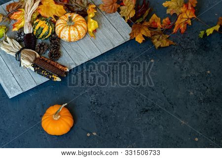 Autum Background With Leaves, Pumpkins, Dried Corn, And Grourds.