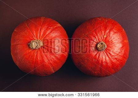 Stock Photo Of A Pumpkin On A Brown Background With Place For Text. Varietal Seasonal Pumpkins.