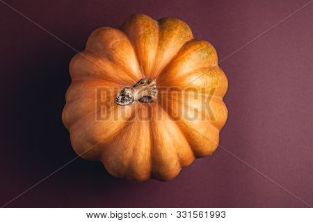Stock Photo Of A Pumpkin On A Brown Background With Place For Text. Varietal Seasonal Pumpkins.