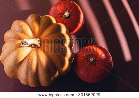 Stock Photo Of A Pumpkin On A Brown Background With Place For Text. Varietal Seasonal Pumpkins.