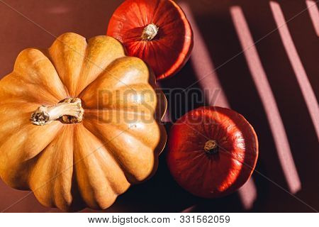 Stock Photo Of A Pumpkin On A Brown Background With Place For Text. Varietal Seasonal Pumpkins.