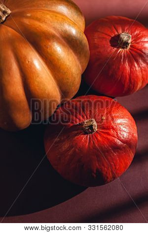 Stock Photo Pumpkin Close-up, Assorted Pumpkins. Big And Small Size Pumpkins And Different Colors, O
