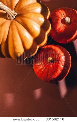 Stock Photo Of A Pumpkin On A Brown Background With Place For Text. Varietal Seasonal Pumpkins.