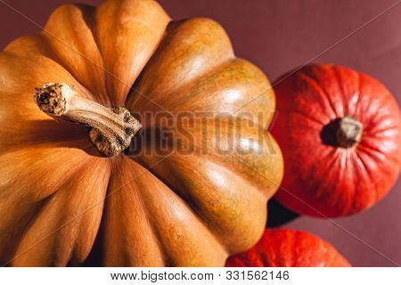 Stock Photo Pumpkin Close-up, Assorted Pumpkins. Big And Small Size Pumpkins And Different Colors, O