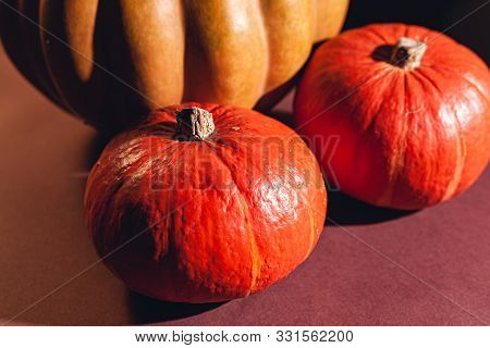 Stock Photo Pumpkin Close-up, Assorted Pumpkins. Big And Small Size Pumpkins And Different Colors, O