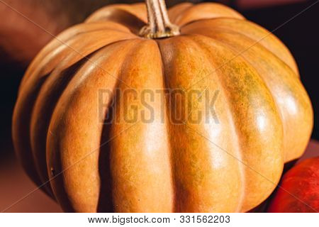 Stock Photo Pumpkin Close-up, Assorted Pumpkins. Big And Small Size Pumpkins And Different Colors, O