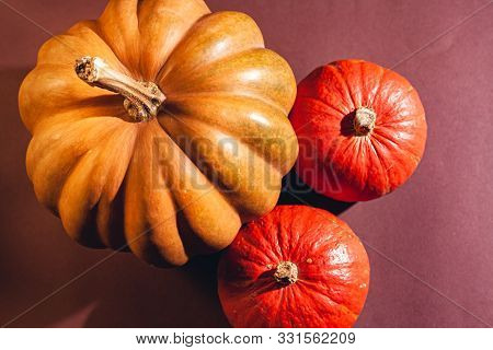 Stock Photo Pumpkin Close-up, Assorted Pumpkins. Big And Small Size Pumpkins And Different Colors, O