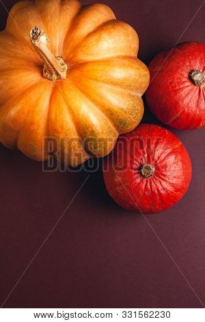 Stock Photo Of A Pumpkin On A Brown Background With Place For Text. Varietal Seasonal Pumpkins.