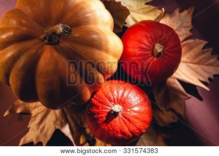 Autumn Composition Of Pumpkins And Yellow Leaves. Stock Photo Of Pumpkins On Dry Leaves.