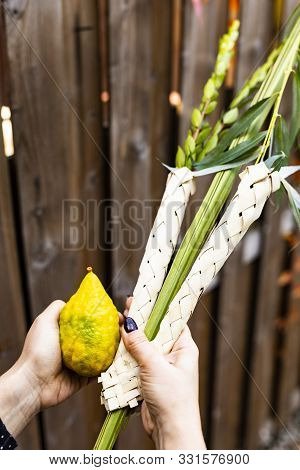 The Jewish Sukkot Festival. Woman Holds A Lulav In A Sukka. Waving The Four Species: Palm, Willow, M