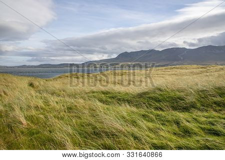 Vegetation At Bertra Beach With Croagh Patrick Mountain, Westport, Ireland