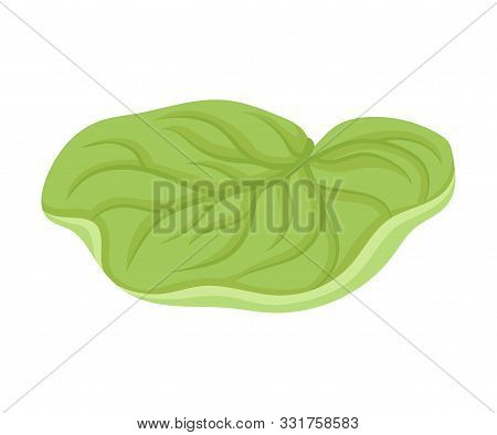 Waterlily Sepal With Leaf Venetion Flower Part Vector Illustration