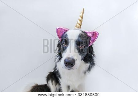 Funny Kawaii Portrait Puppy Dog Border Collie With Unicorn Horn Isolated On White Background. Dog Wi
