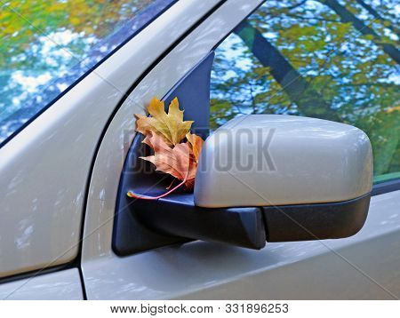 Car Fragment Infall. Dry Maple Leaves Fell On Rearview Mirror. Dusty Windows Reflect Yellow Trees An