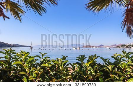 Beautiful Calm Blue Bay And Green Plants. Rest And Relaxation On The Sea Coast
