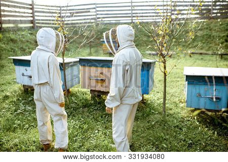 Two Beekepers In Protective Uniform Working On A Small Traditional Apiary With Wooden Beehives, Rear