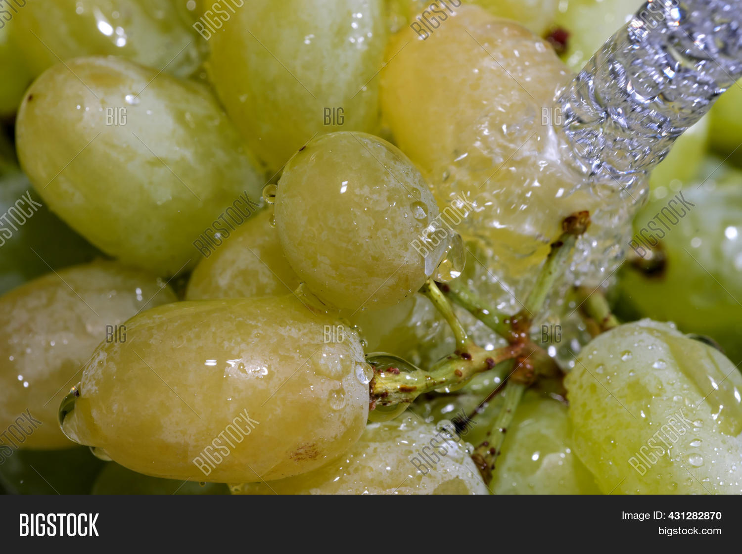 White Seedless Grapes Image & Photo (Free Trial) Bigstock