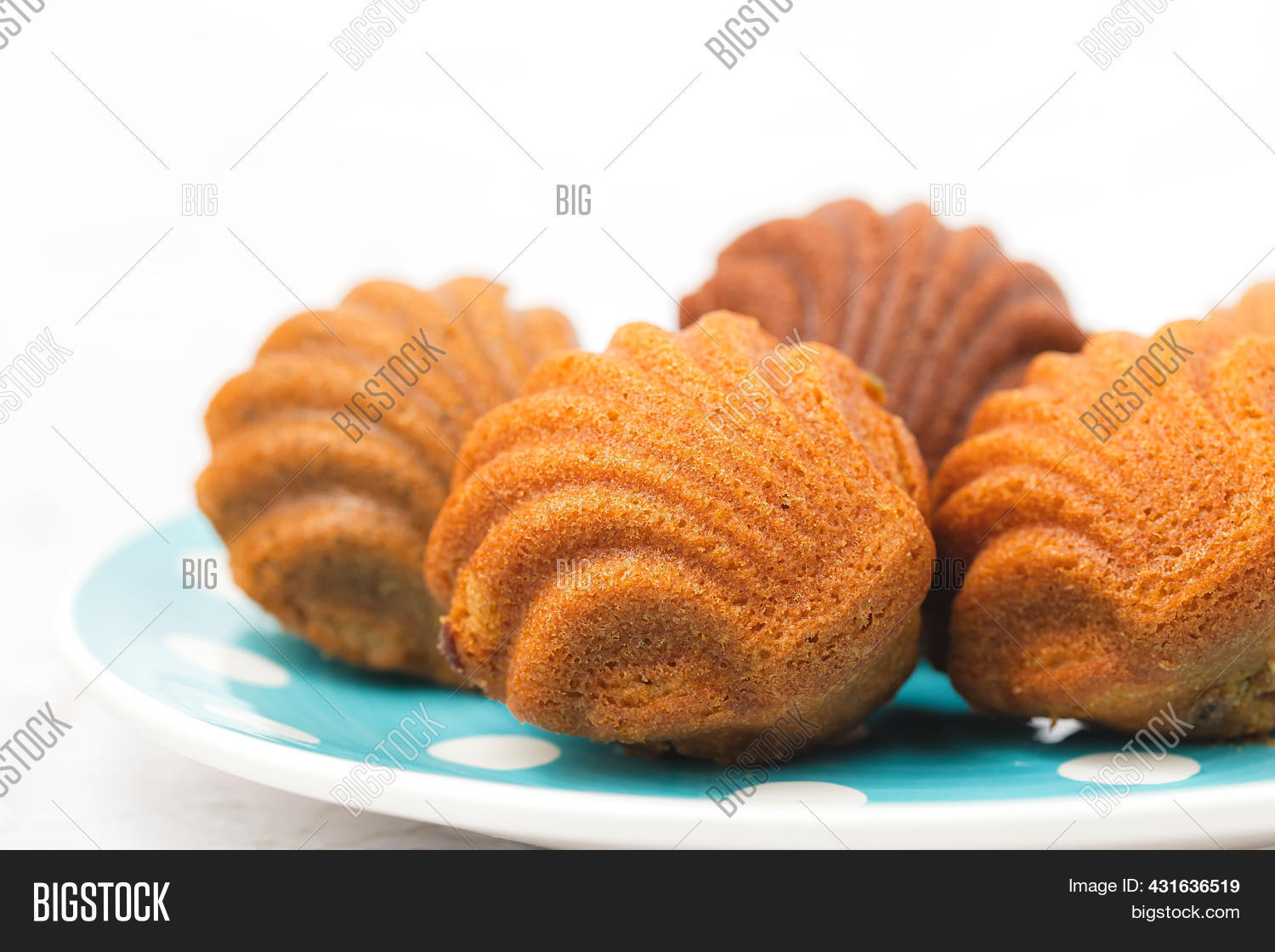 Madeleine Cakes Image & Photo (Free Trial) Bigstock