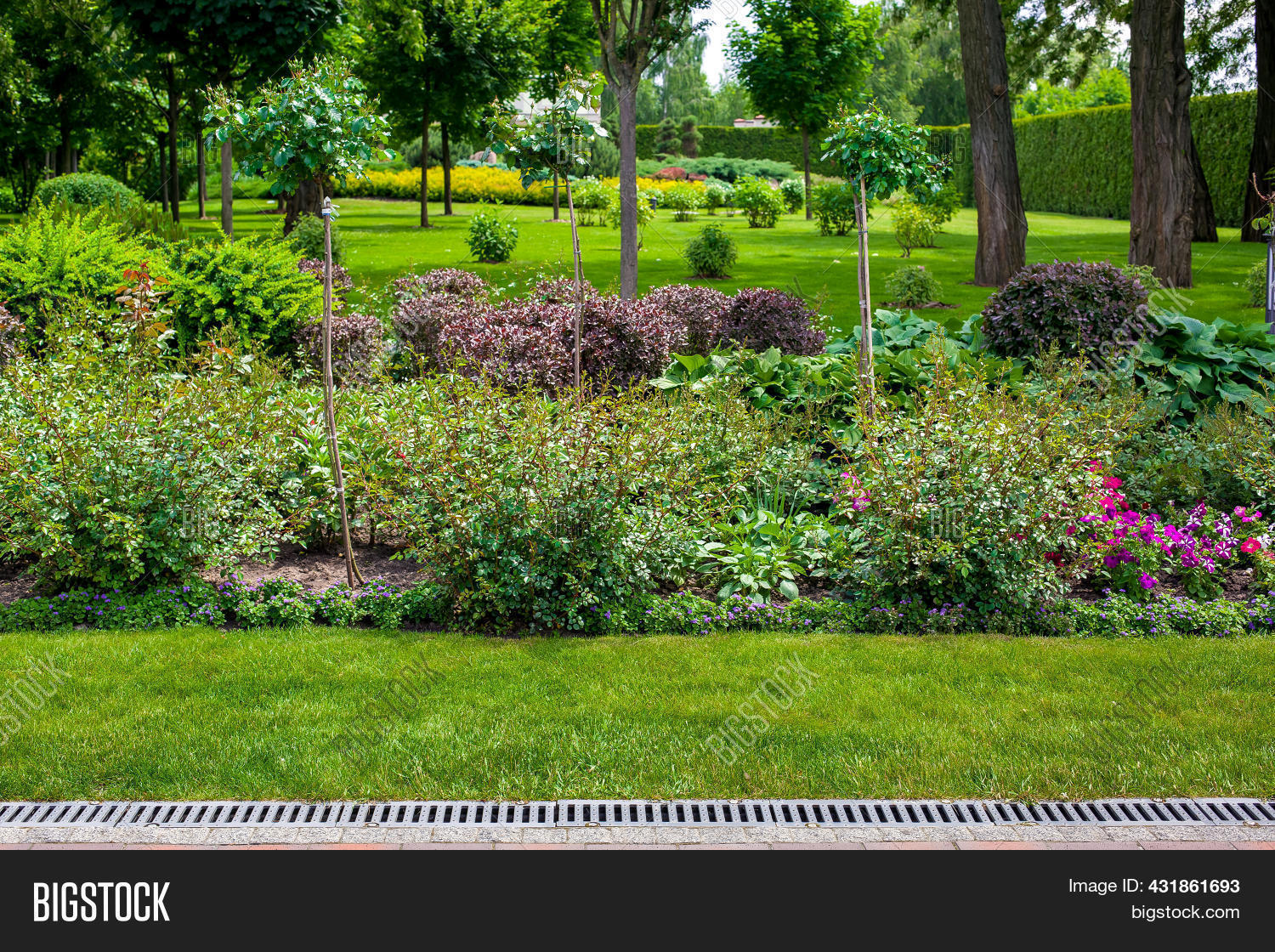 Flower Bed Bushes Image & Photo (Free Trial) Bigstock