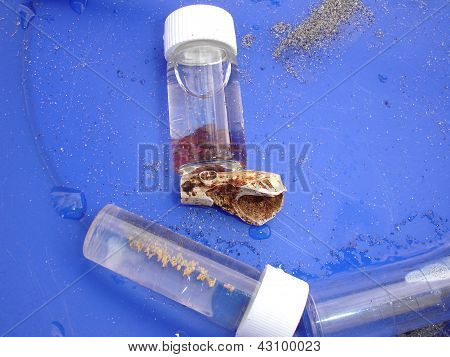 Gold, Granat und Clay Pipe