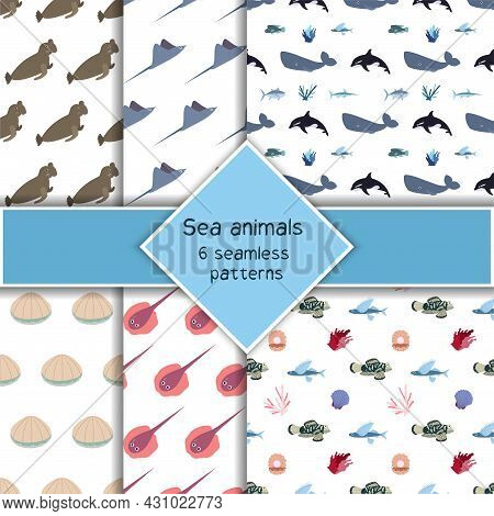 Set With Six Sea Animal Seamless Pattern With Whale, Sea Elephant, Stringray And Seashell. Undersea 